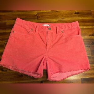 Carve Designs Coral Women Shorts